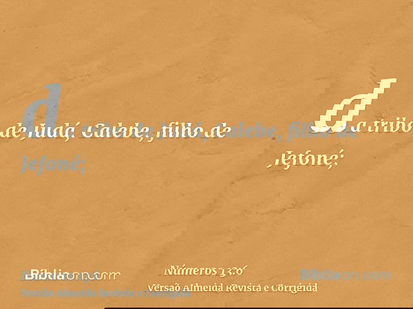 da tribo de Judá, Calebe, filho de Jefoné;