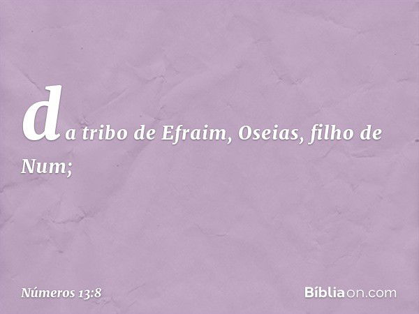 da tribo de Efraim, Oseias,
filho de Num; -- Números 13:8