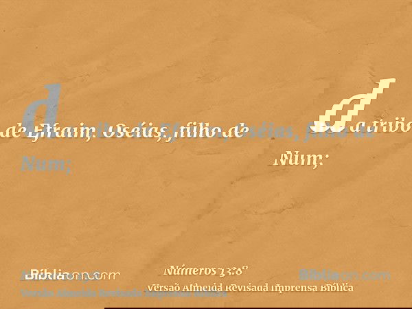 da tribo de Efraim, Oséias, filho de Num;