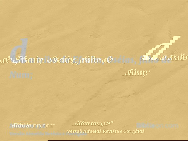 da tribo de Efraim, Oséias, filho de Num;