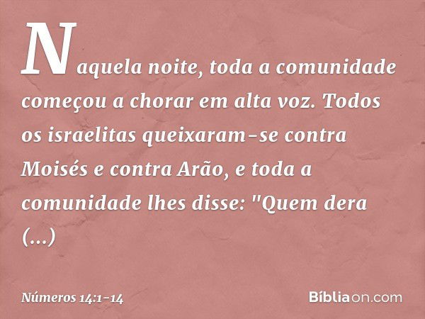 Naquela noite, toda a comunidade começou a chorar em alta voz. Todos os israelitas queixaram-se contra Moisés e contra Arão, e toda a comunidade lhes disse: "Qu