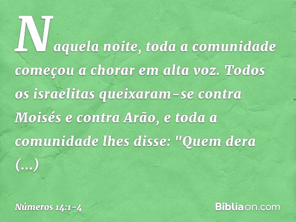 Naquela noite, toda a comunidade começou a chorar em alta voz. Todos os israelitas queixaram-se contra Moisés e contra Arão, e toda a comunidade lhes disse: "Qu