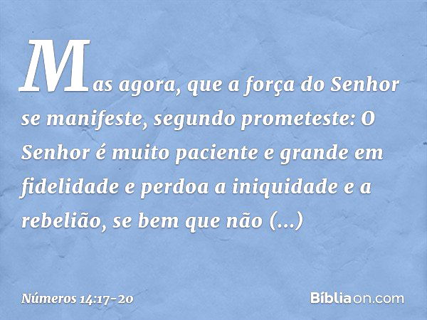 "Mas agora, que a força do Senhor se manifeste, segundo prometeste: 'O Senhor é muito paciente e grande em fidelidade e perdoa a iniquidade e a rebelião, se bem