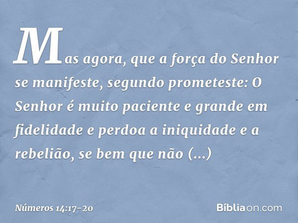 "Mas agora, que a força do Senhor se manifeste, segundo prometeste: 'O Senhor é muito paciente e grande em fidelidade e perdoa a iniquidade e a rebelião, se bem