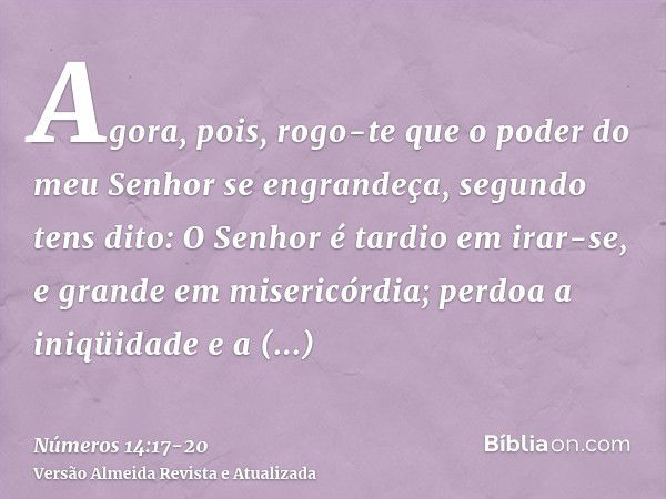 Agora, pois, rogo-te que o poder do meu Senhor se engrandeça, segundo tens dito:O Senhor é tardio em irar-se, e grande em misericórdia; perdoa a iniqüidade e a 