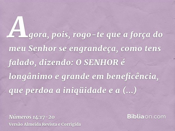 Agora, pois, rogo-te que a força do meu Senhor se engrandeça, como tens falado, dizendo:O SENHOR é longânimo e grande em beneficência, que perdoa a iniqüidade e