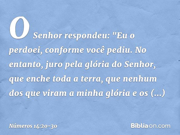 O Senhor respondeu: "Eu o perdoei, conforme você pediu. No entanto, juro pela glória do Senhor, que enche toda a terra, que nenhum dos que viram a minha glória 