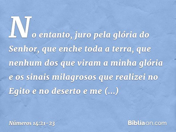 No entanto, juro pela glória do Senhor, que enche toda a terra, que nenhum dos que viram a minha glória e os sinais milagrosos que realizei no Egito e no desert