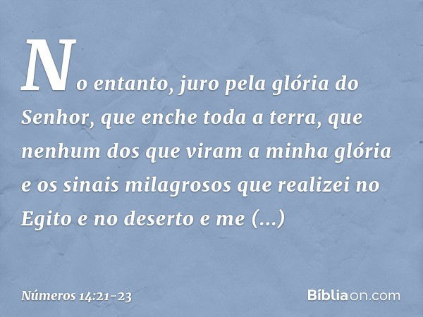 No entanto, juro pela glória do Senhor, que enche toda a terra, que nenhum dos que viram a minha glória e os sinais milagrosos que realizei no Egito e no desert