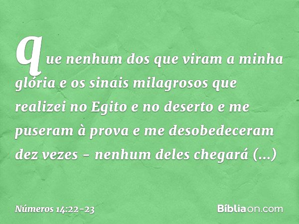 que nenhum dos que viram a minha glória e os sinais milagrosos que realizei no Egito e no deserto e me puseram à prova e me desobedeceram dez vezes - nenhum del