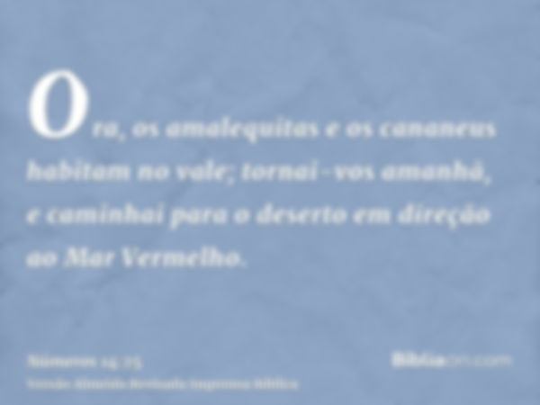 Ora, os amalequitas e os cananeus habitam no vale; tornai-vos amanhã, e caminhai para o deserto em direção ao Mar Vermelho.