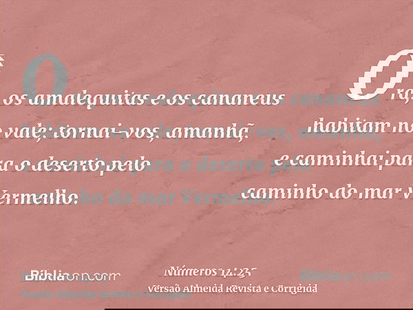 Ora, os amalequitas e os cananeus habitam no vale; tornai-vos, amanhã, e caminhai para o deserto pelo caminho do mar Vermelho.