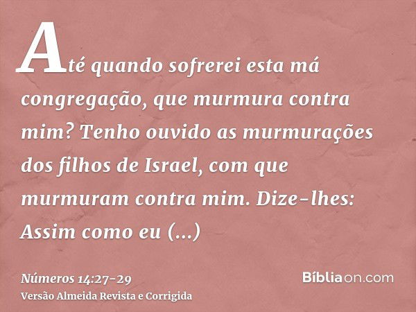 Até quando sofrerei esta má congregação, que murmura contra mim? Tenho ouvido as murmurações dos filhos de Israel, com que murmuram contra mim.Dize-lhes: Assim 