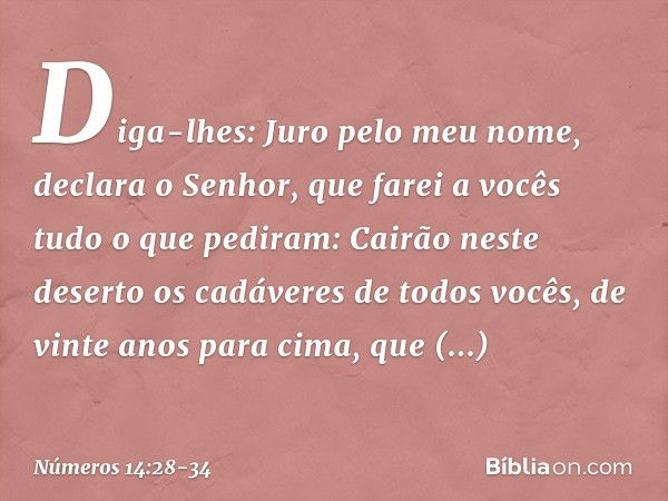 Diga-lhes: Juro pelo meu nome, declara o Senhor, que farei a vocês tudo o que pediram: Cairão neste deserto os cadáveres de todos vocês, de vinte anos para cima