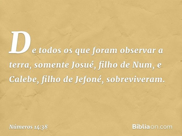 De todos os que foram observar a terra, somente Josué, filho de Num, e Calebe, filho de Jefoné, sobreviveram. -- Números 14:38