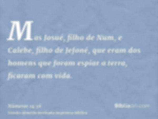 Mas Josué, filho de Num, e Calebe, filho de Jefoné, que eram dos homens que foram espiar a terra, ficaram com vida.