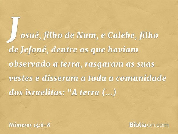 Josué, filho de Num, e Calebe, filho de Jefoné, dentre os que haviam observado a terra, rasgaram as suas vestes e disseram a toda a comunidade dos israelitas: "