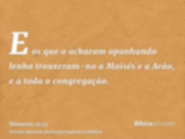 E os que o acharam apanhando lenha trouxeram-no a Moisés e a Arão, e a toda a congregação.