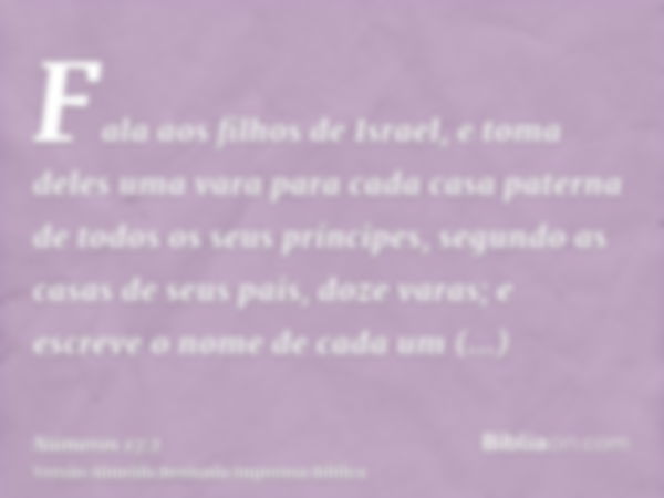 Fala aos filhos de Israel, e toma deles uma vara para cada casa paterna de todos os seus príncipes, segundo as casas de seus pais, doze varas; e escreve o nome 