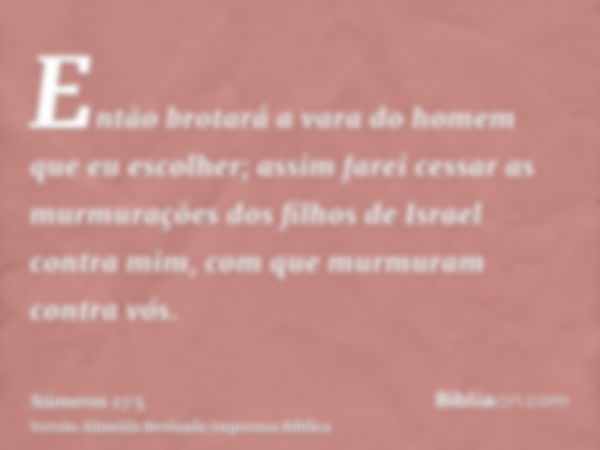 Então brotará a vara do homem que eu escolher; assim farei cessar as murmurações dos filhos de Israel contra mim, com que murmuram contra vós.