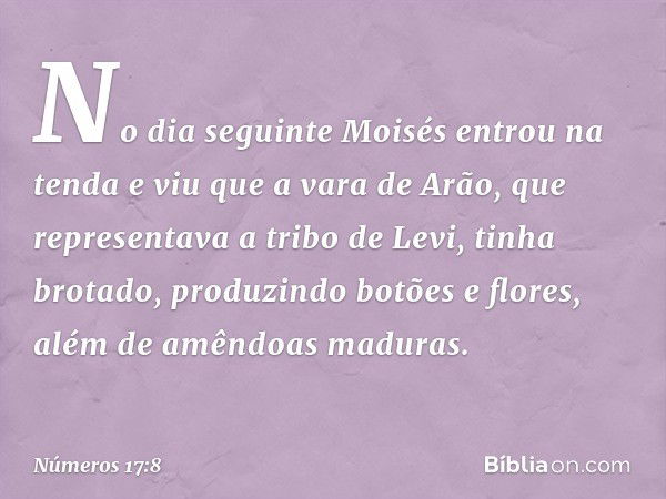 No dia seguinte Moisés entrou na tenda e viu que a vara de Arão, que representava a tribo de Levi, tinha brotado, produzindo botões e flores, além de amêndoas m