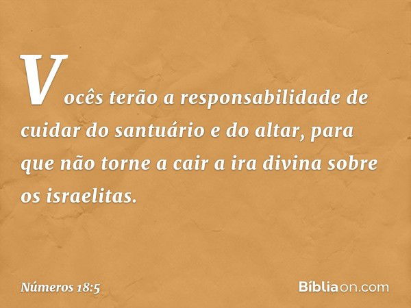 "Vocês terão a responsabilidade de cuidar do santuário e do altar, para que não torne a cair a ira divina sobre os israelitas. -- Números 18:5