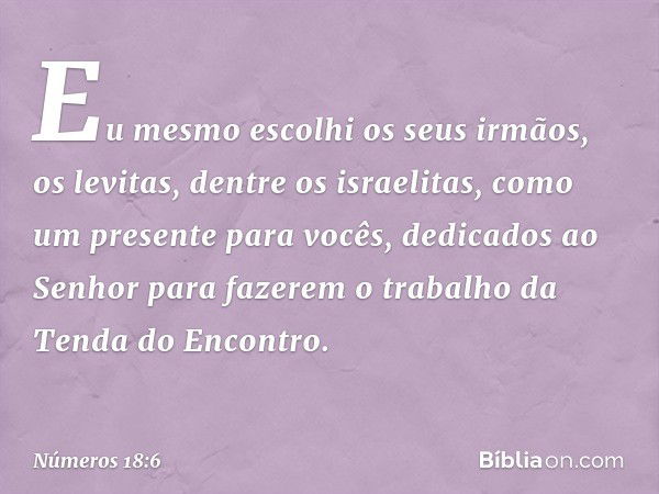 Eu mesmo escolhi os seus irmãos, os levitas, dentre os israelitas, como um presente para vocês, dedicados ao Senhor para fazerem o trabalho da Tenda do Encontro