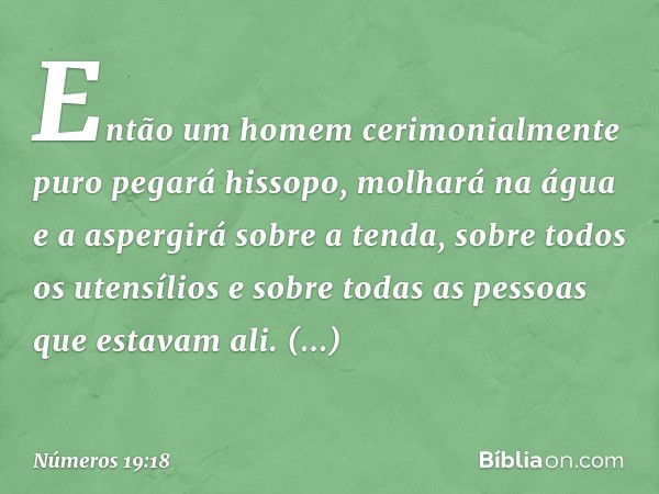 Então um homem cerimonialmente puro pegará hissopo, molhará na água e a aspergirá sobre a tenda, sobre todos os utensílios e sobre todas as pessoas que estavam 