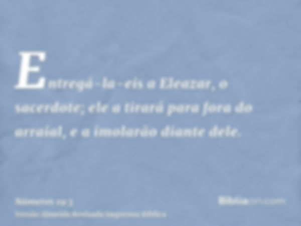 Entregá-la-eis a Eleazar, o sacerdote; ele a tirará para fora do arraial, e a imolarão diante dele.