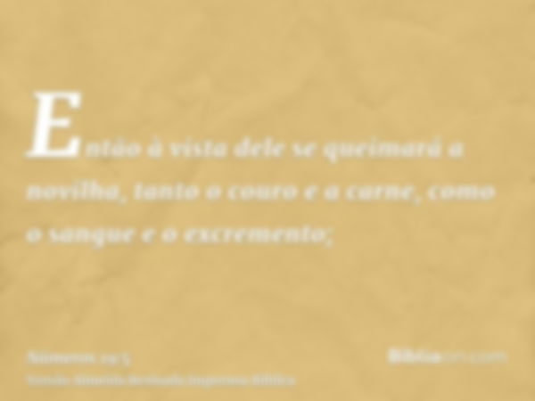 Então à vista dele se queimará a novilha, tanto o couro e a carne, como o sangue e o excremento;