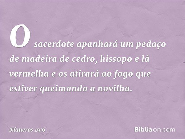 O sacerdote apanhará um pedaço de madeira de cedro, hissopo e lã vermelha e os atirará ao fogo que estiver queimando a novilha. -- Números 19:6