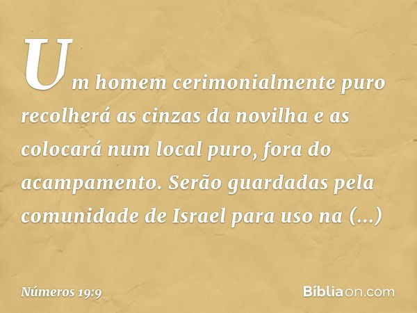 "Um homem cerimonialmente puro recolherá as cinzas da novilha e as colocará num local puro, fora do acampamento. Serão guardadas pela comunidade de Israel para 