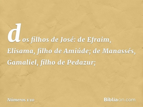 dos filhos de José:
de Efraim, Elisama, filho de Amiúde;
de Manassés, Gamaliel,
filho de Pedazur; -- Números 1:10