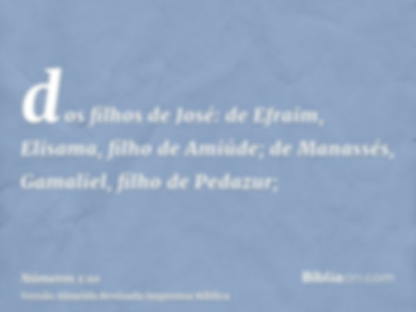 dos filhos de José: de Efraim, Elisama, filho de Amiúde; de Manassés, Gamaliel, filho de Pedazur;