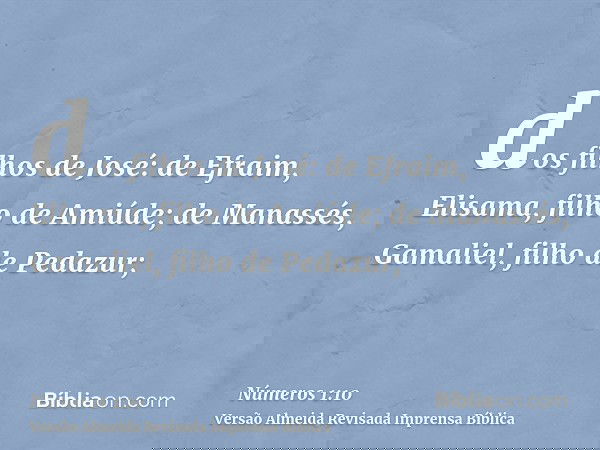 dos filhos de José: de Efraim, Elisama, filho de Amiúde; de Manassés, Gamaliel, filho de Pedazur;