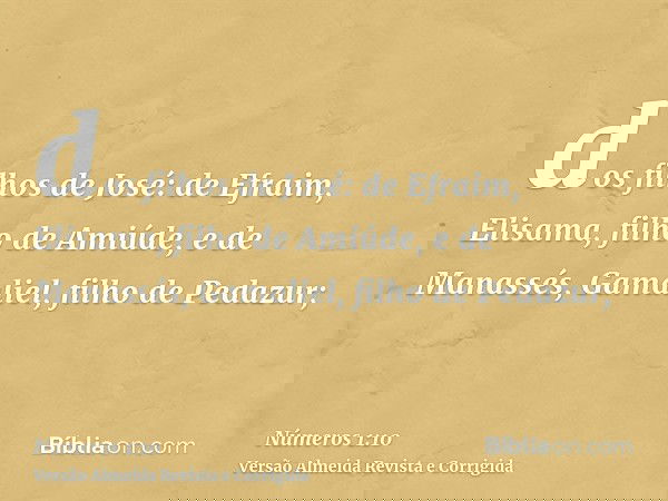 dos filhos de José: de Efraim, Elisama, filho de Amiúde, e de Manassés, Gamaliel, filho de Pedazur;