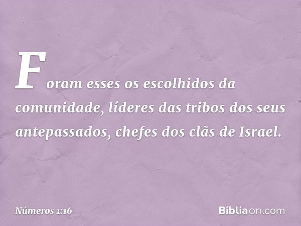 Foram esses os escolhidos da comunidade, líderes das tribos dos seus antepassados, chefes dos clãs de Israel. -- Números 1:16