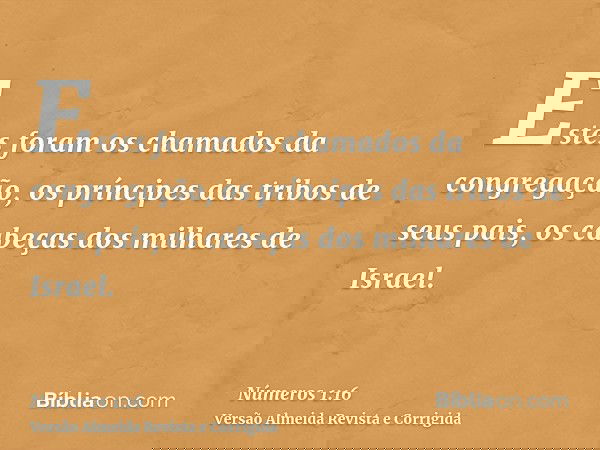 Estes foram os chamados da congregação, os príncipes das tribos de seus pais, os cabeças dos milhares de Israel.