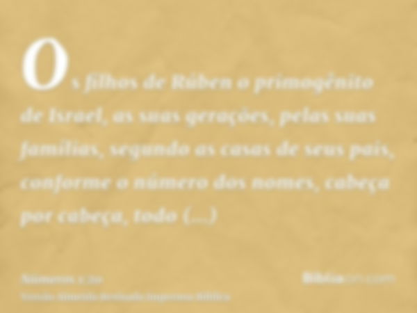 Os filhos de Rúben o primogênito de Israel, as suas gerações, pelas suas famílias, segundo as casas de seus pais, conforme o número dos nomes, cabeça por cabeça