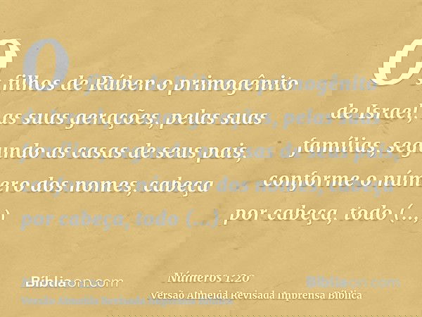 Os filhos de Rúben o primogênito de Israel, as suas gerações, pelas suas famílias, segundo as casas de seus pais, conforme o número dos nomes, cabeça por cabeça