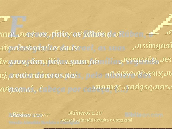 Foram, pois, os filhos de Rúben, o primogênito de Israel, as suas gerações, pelas suas famílias, segundo a casa de seus pais, pelo número dos nomes, cabeça por