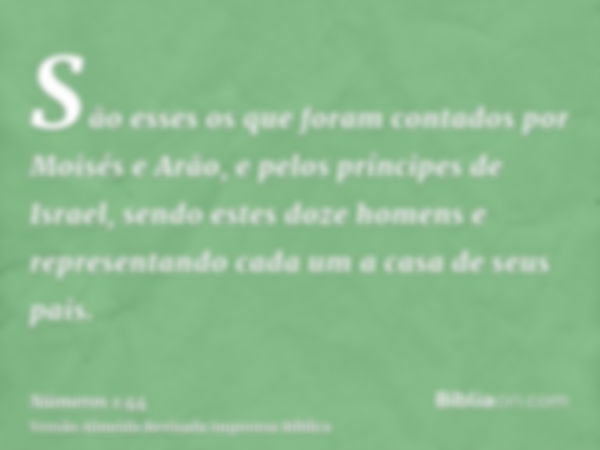 São esses os que foram contados por Moisés e Arão, e pelos príncipes de Israel, sendo estes doze homens e representando cada um a casa de seus pais.