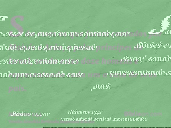 São esses os que foram contados por Moisés e Arão, e pelos príncipes de Israel, sendo estes doze homens e representando cada um a casa de seus pais.