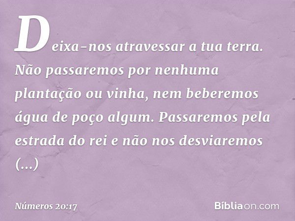 Deixa-nos atravessar a tua terra. Não passaremos por nenhuma plantação ou vinha, nem beberemos água de poço algum. Passaremos pela estrada do rei e não nos desv