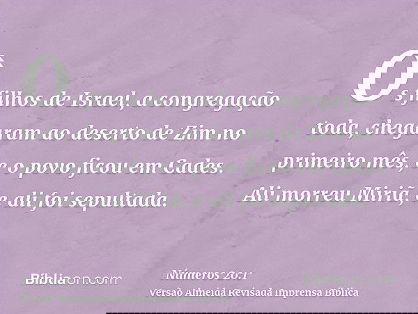 Os filhos de Israel, a congregação toda, chegaram ao deserto de Zim no primeiro mês, e o povo ficou em Cades. Ali morreu Miriã, e ali foi sepultada.