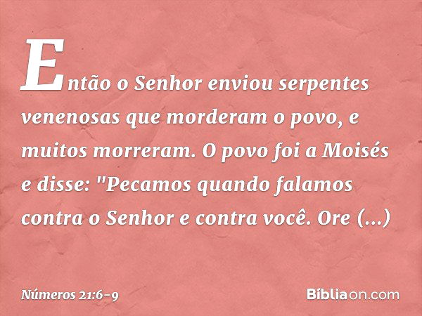 Perguntas e respostas sobre o mundo das serpentes: desvende seis