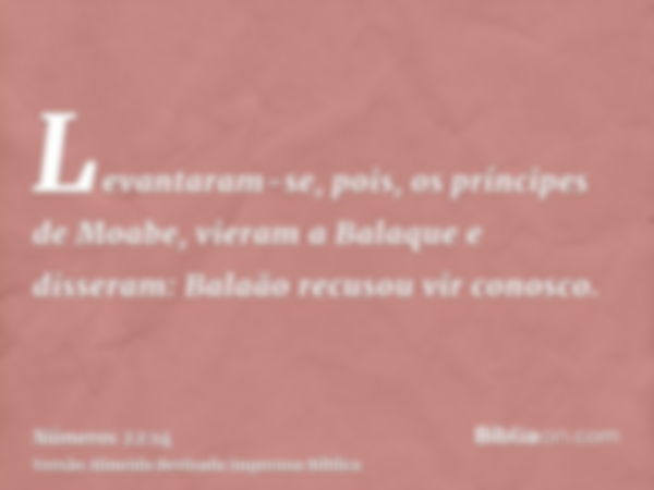 Levantaram-se, pois, os príncipes de Moabe, vieram a Balaque e disseram: Balaão recusou vir conosco.