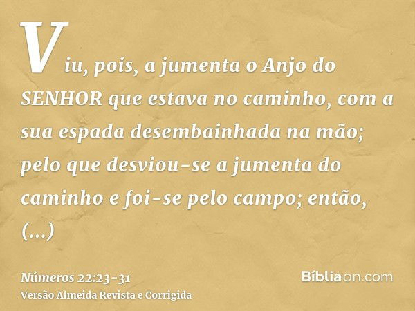 Viu, pois, a jumenta o Anjo do SENHOR que estava no caminho, com a sua espada desembainhada na mão; pelo que desviou-se a jumenta do caminho e foi-se pelo campo