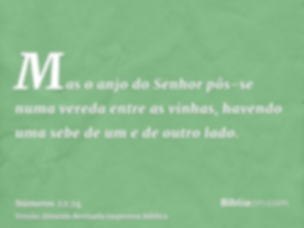 Mas o anjo do Senhor pôs-se numa vereda entre as vinhas, havendo uma sebe de um e de outro lado.