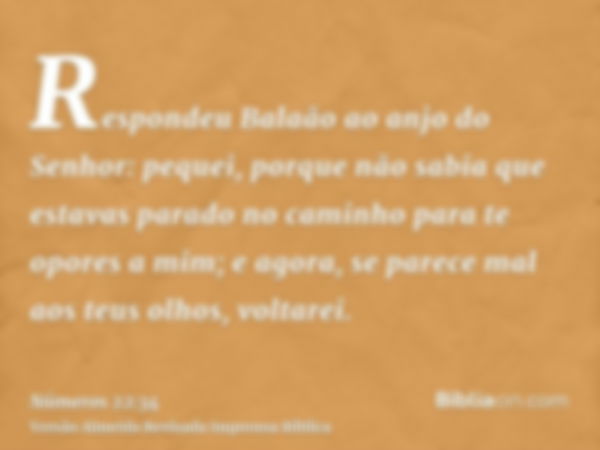 Respondeu Balaão ao anjo do Senhor: pequei, porque não sabia que estavas parado no caminho para te opores a mim; e agora, se parece mal aos teus olhos, voltarei